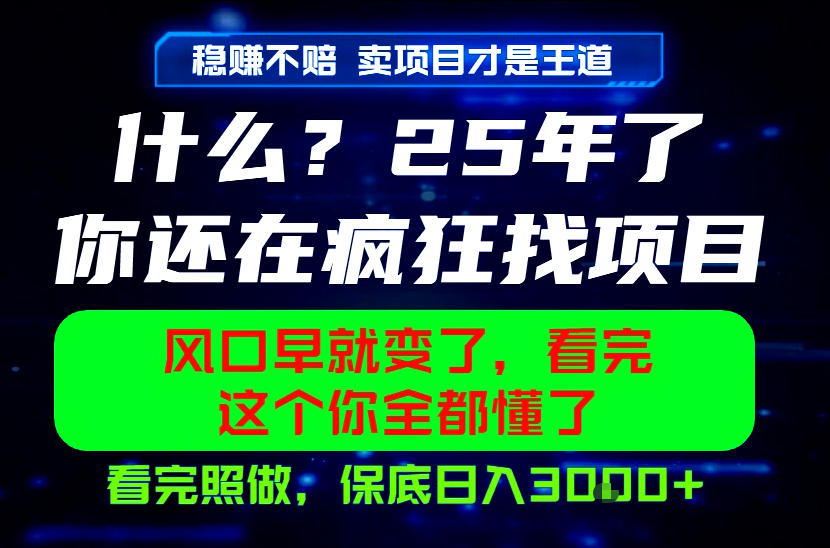 26年,请不要疯狂的找项目做了!卖项目才是真的稳賺不赔,看完照做,保底日入1k+【揭秘】-云途创业网