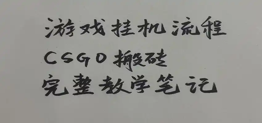 游戏挂机全流程笔记分享，CSGO游戏搬砖，小白看了当天学会见收益-云途创业网