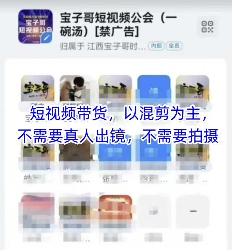 宝子哥头部团队短视频带货,以混剪为主,不需要真人出镜,不需要拍摄【更新26年3月】-云途创业网