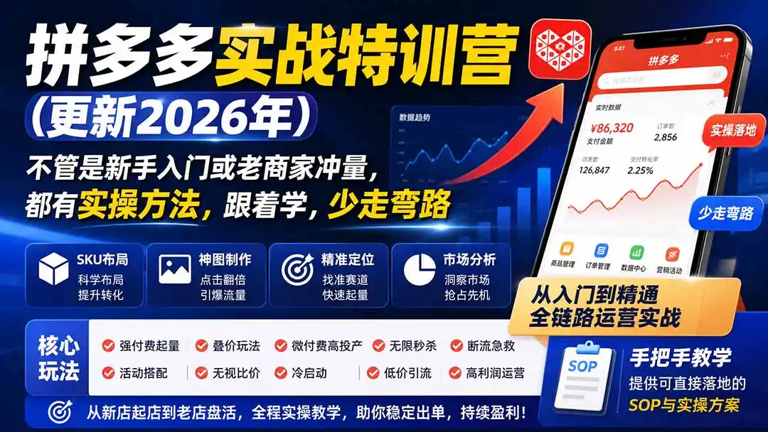 拼多多实战特训营(更新26年9月