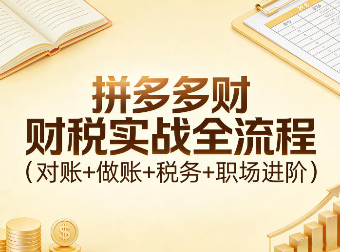 拼多多财税实战全流程(对账+做账+税务+职场进阶)-云途创业网