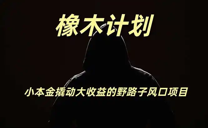 橡木计划，小投入撬动高回报的风口野路子项目，一天投入2小时左右-云途创业网