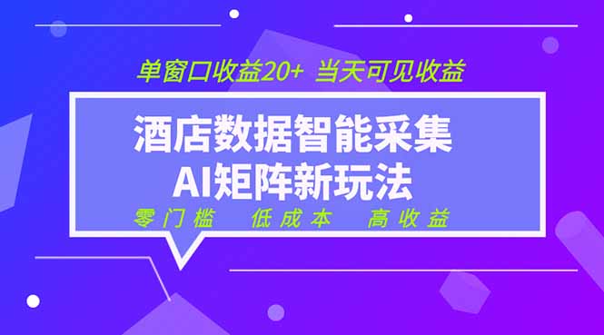 2026酒店数据采集ai智能矩阵新风口 低成本 高收益 当天见收益 单窗口20+-云途创业网