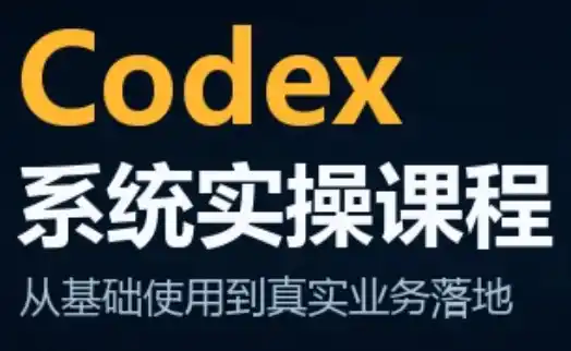 codex系统实操课程(更新10月) codex系统实操课程(更新10月)