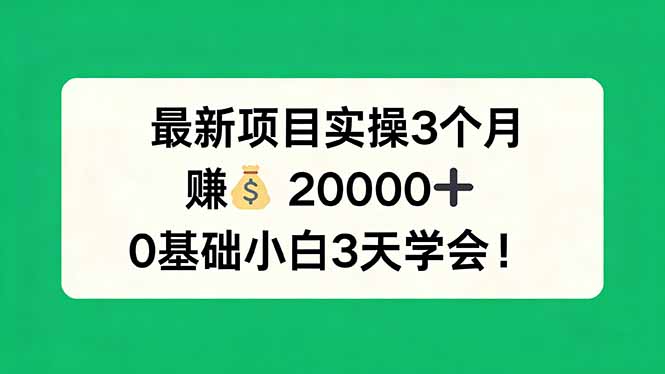 最新项目实操3个月，赚钱20000+，0基础小白3天学会！-云途创业网
