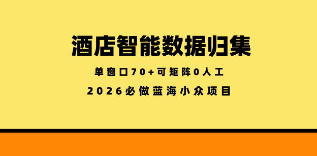 酒店智能数据归集,小众蓝海已经稳定半年之久,单窗口70+零成本矩阵开干【揭秘】