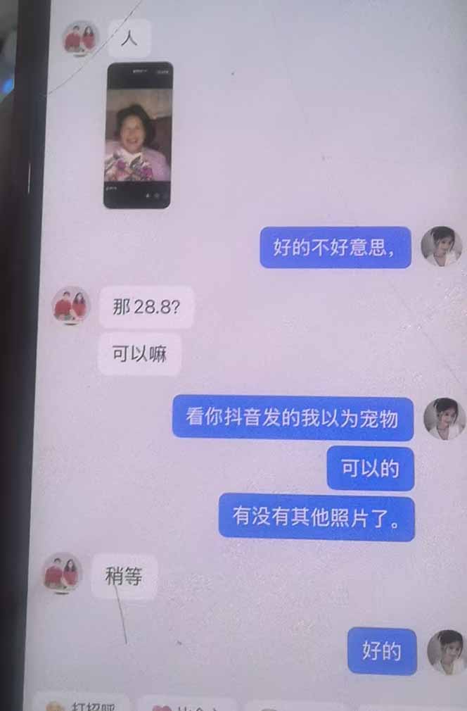思念亲人AI视频教程：亲人复活+人物替换技术，条条几万赞爆款作品制作-云途创业网