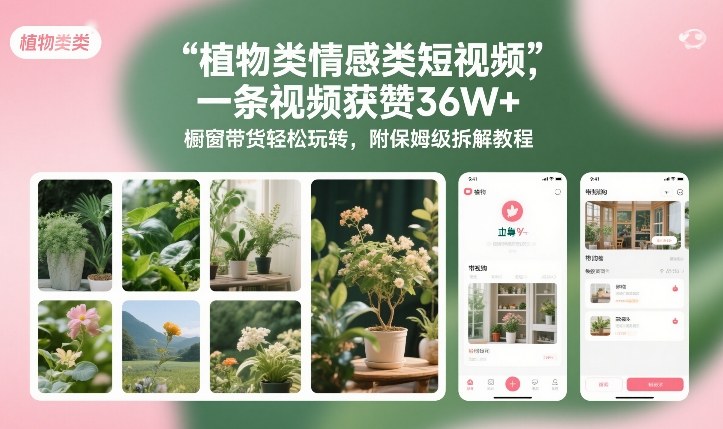 植物类情感类短视频,一条视频获赞36W+,橱窗带货轻松玩转,附保姆级拆解教程-云途创业网